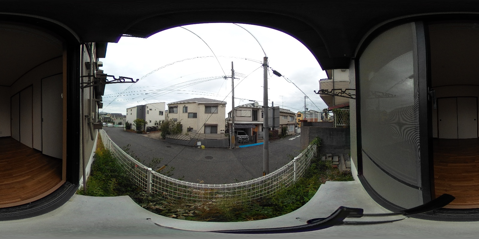 庭 写真37