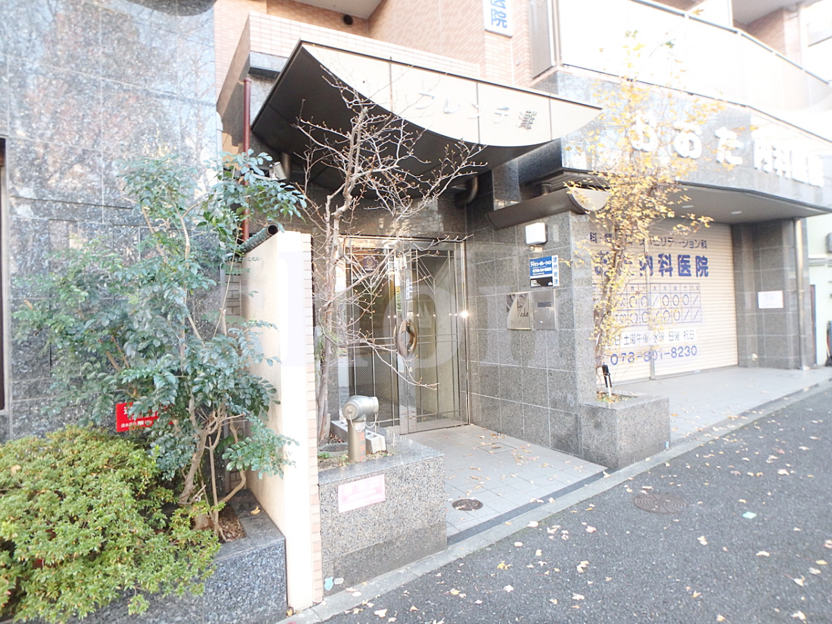 エントランス 建物入口 写真19