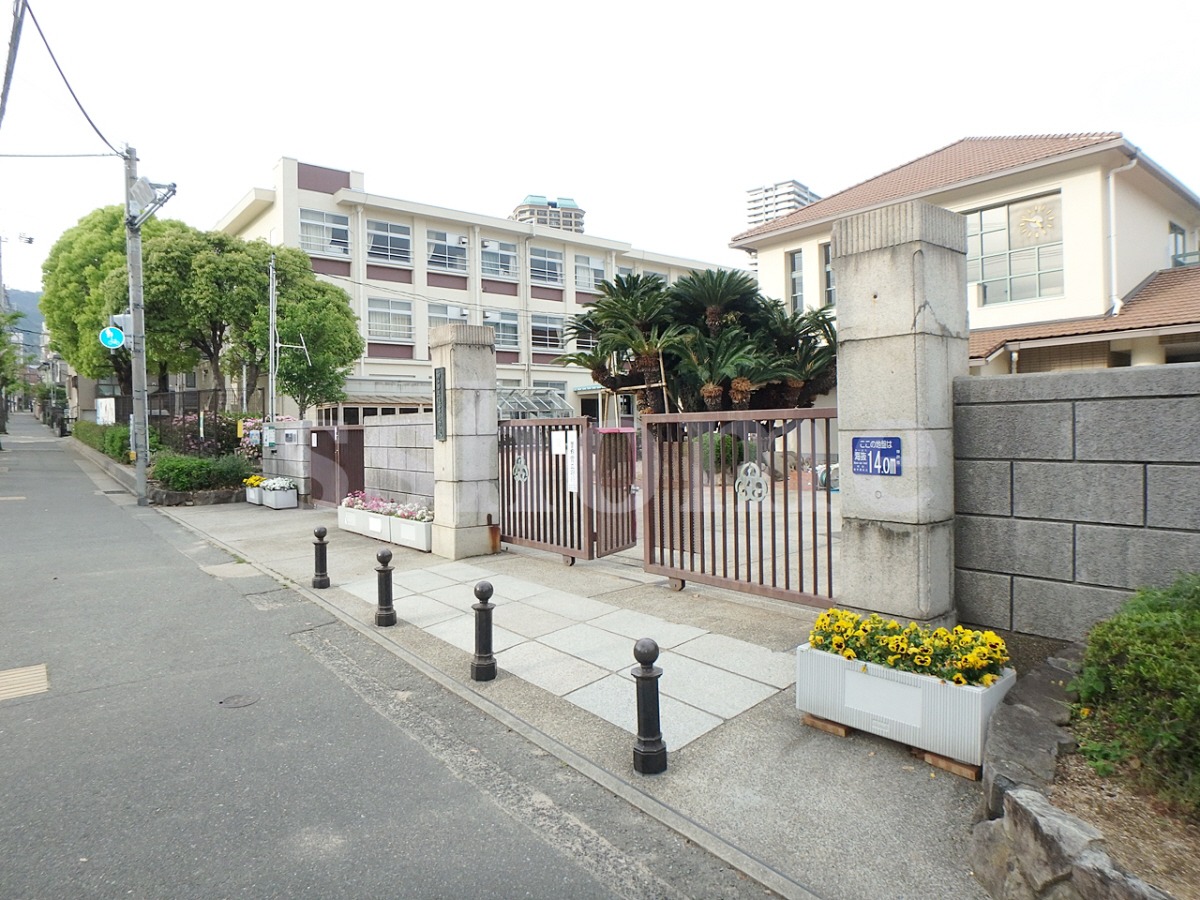 住吉小学校まで263m (徒歩4分) 写真21