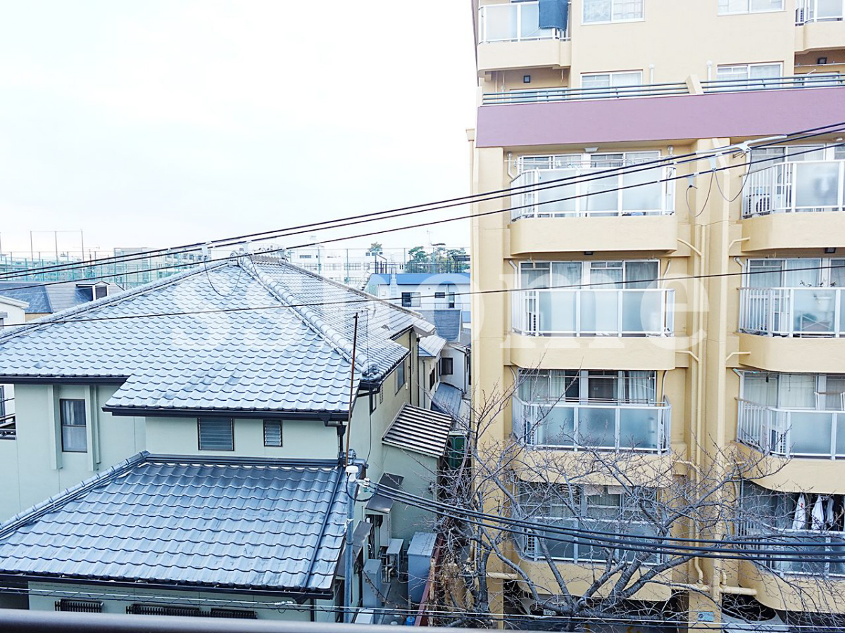 写真18