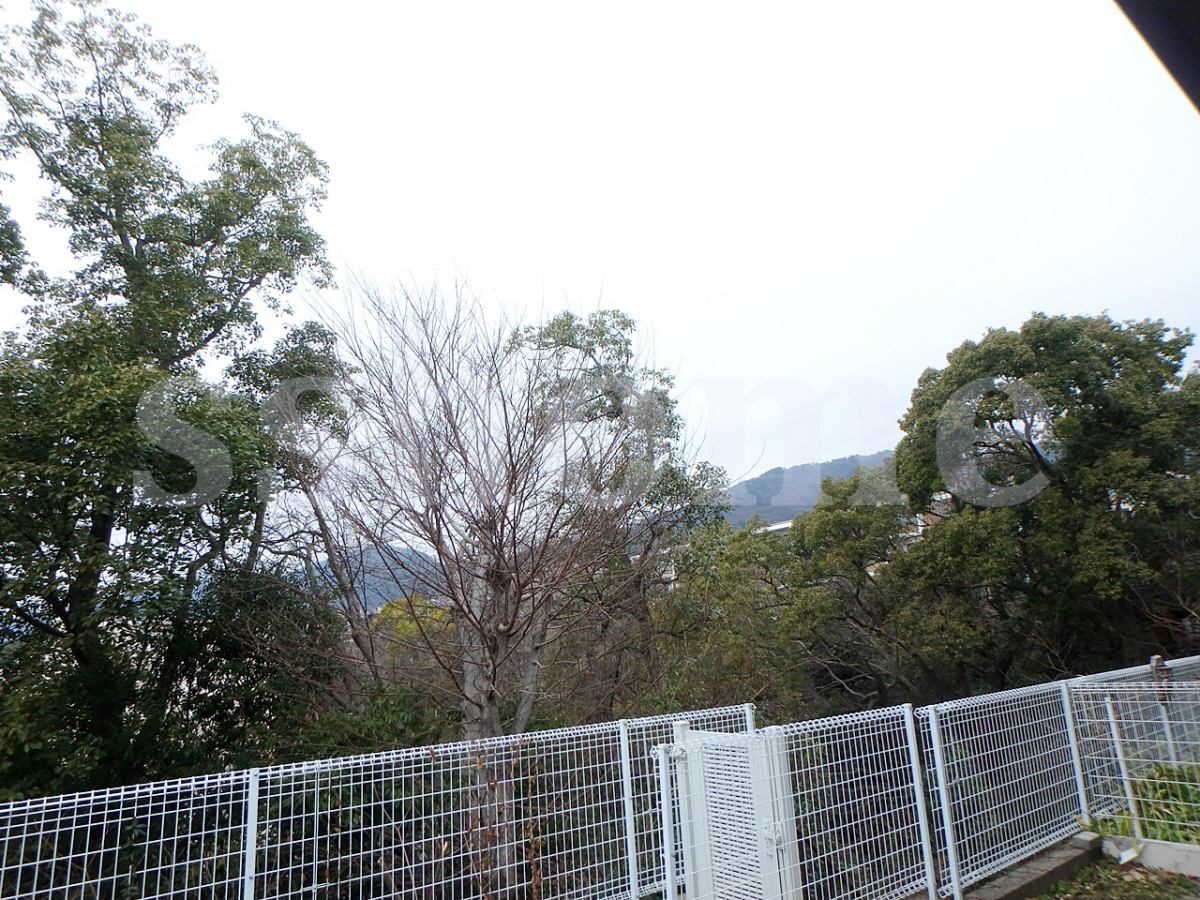 眺望 専用庭からの景色☆ 写真20