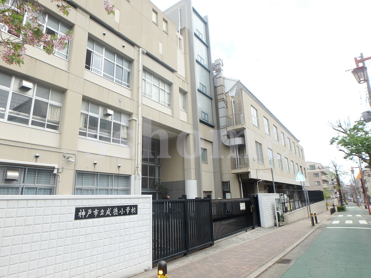 神戸市立成徳小学校まで207m (徒歩3分) 写真21