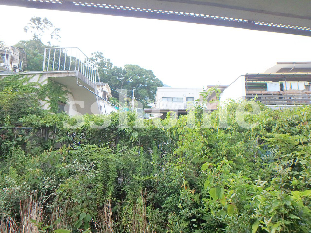 収納 専用庭からの景色☆ 写真12