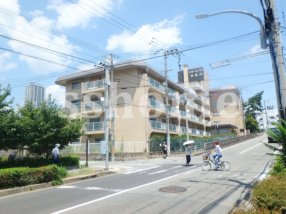 スターハイツ住吉川