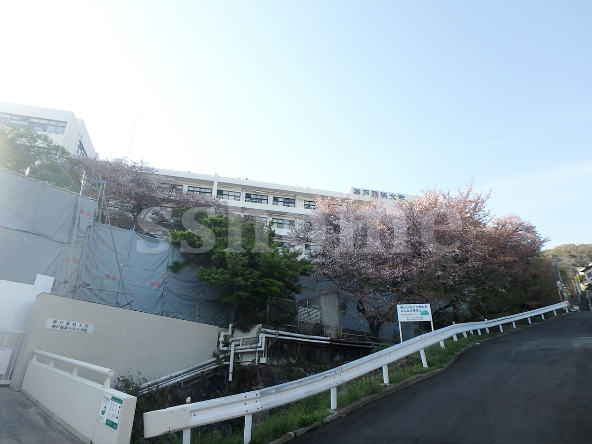神戸薬科大学まで866m (徒歩11分) 写真24