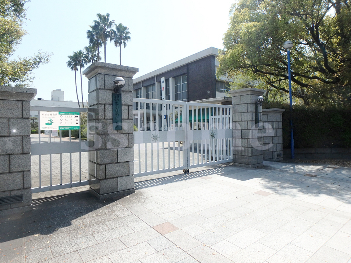 神戸大学深江キャンパスまで1217m (徒歩16分) 写真24