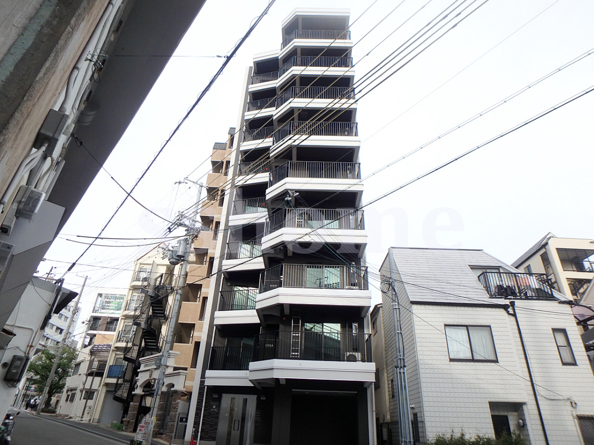 シャロン灘