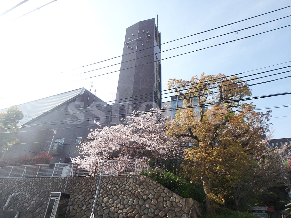 甲南大学 岡本キャンパスまで1513m (徒歩19分) 写真24