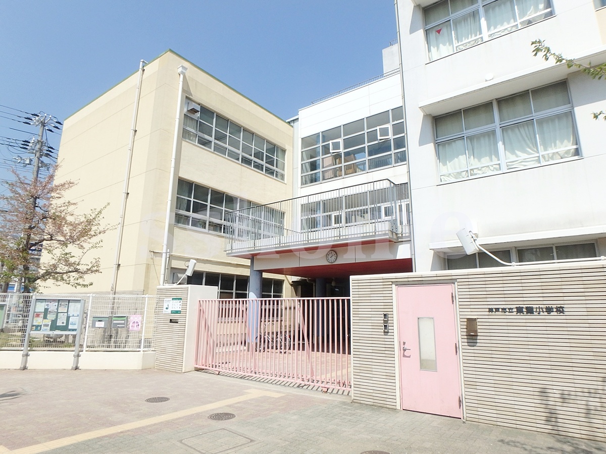 神戸市立東灘小学校まで430m (徒歩6分) 写真21