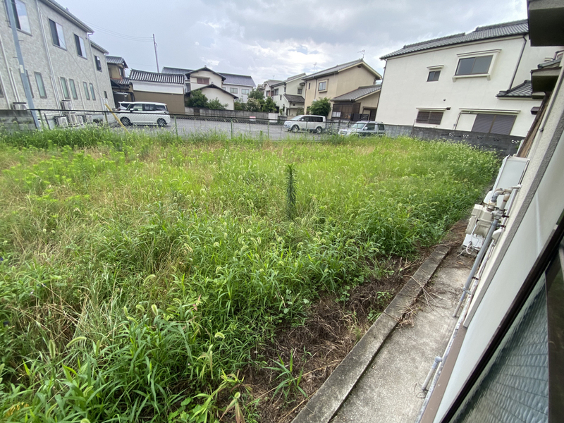 庭 写真14