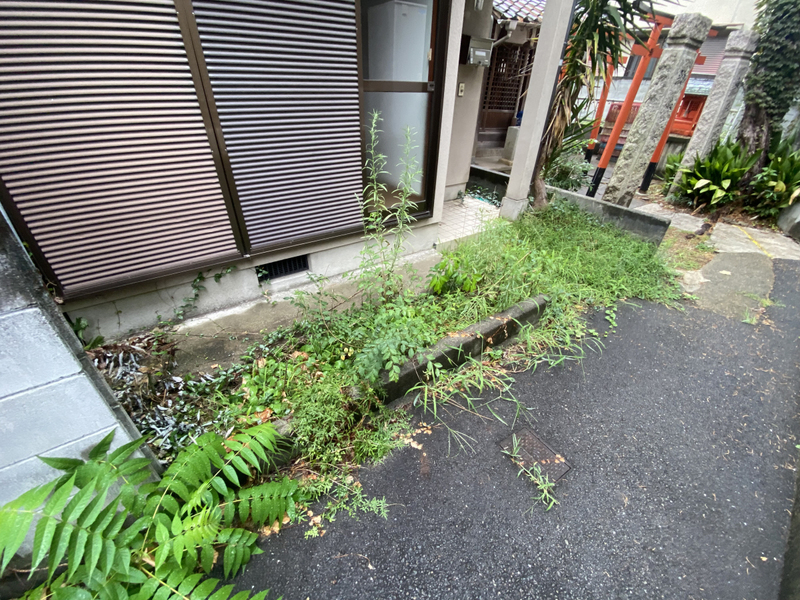 共用部 写真32
