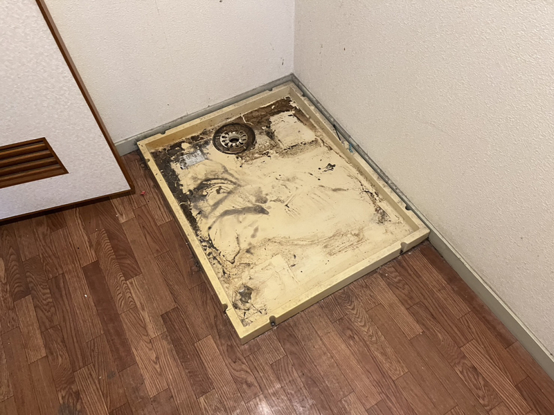 城西ハイツの物件内観写真