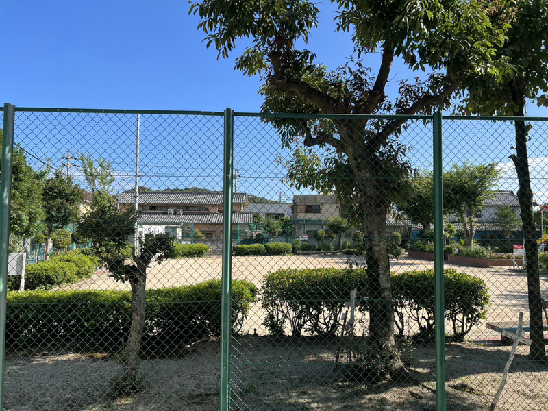 眺望 写真19