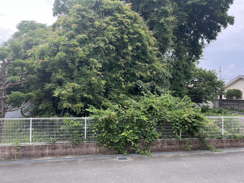 眺望 写真28