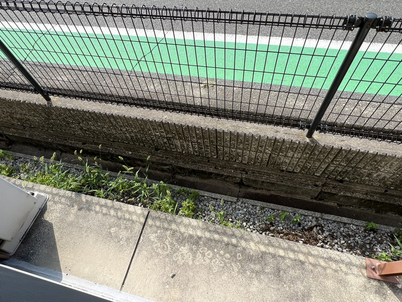 西之芝Ⅱ号館の物件内観写真