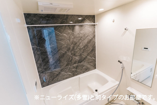 アイルーⅡの物件内観写真
