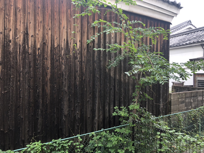 眺望 写真28