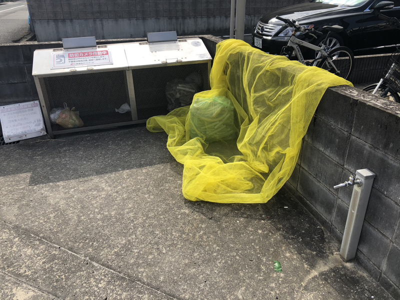 K’s Lifeの物件内観写真