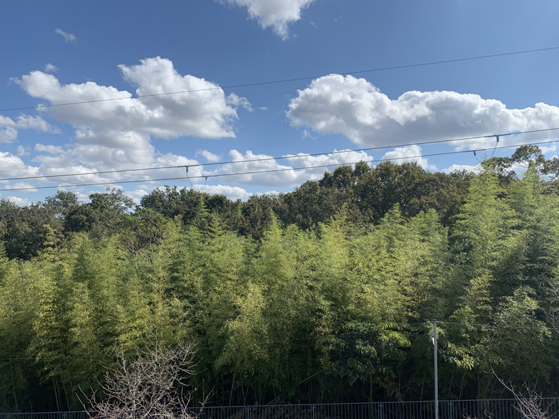 眺望 写真19