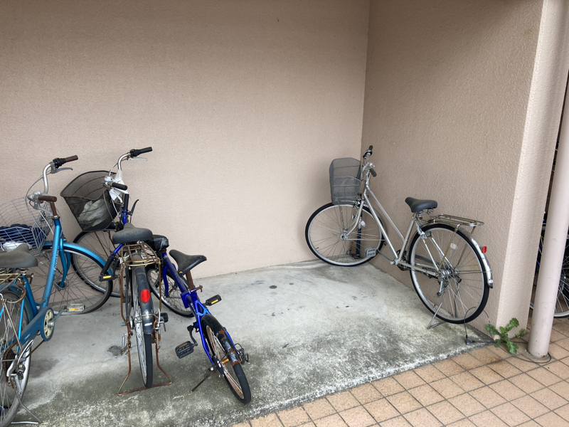 写真2