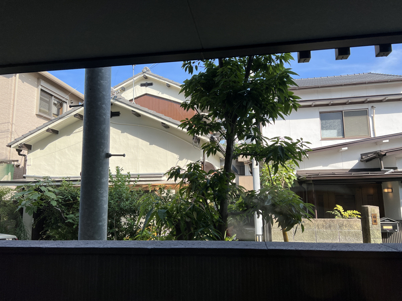 眺望 写真15