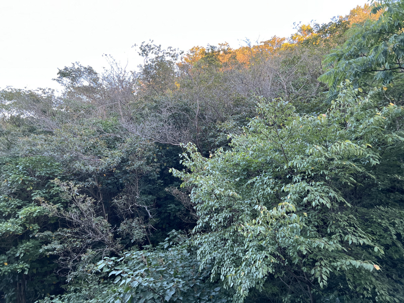 眺望 写真15