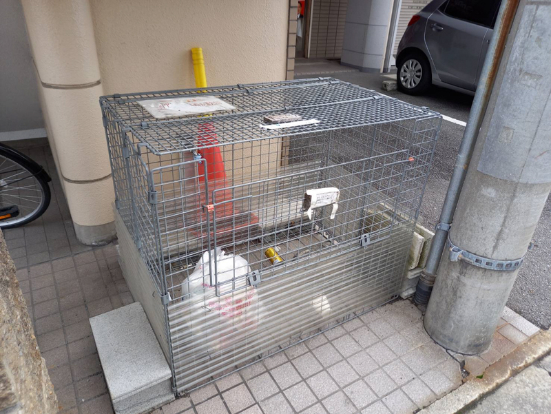 共用部 写真10