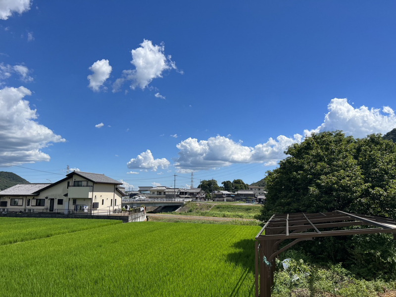 眺望 写真19