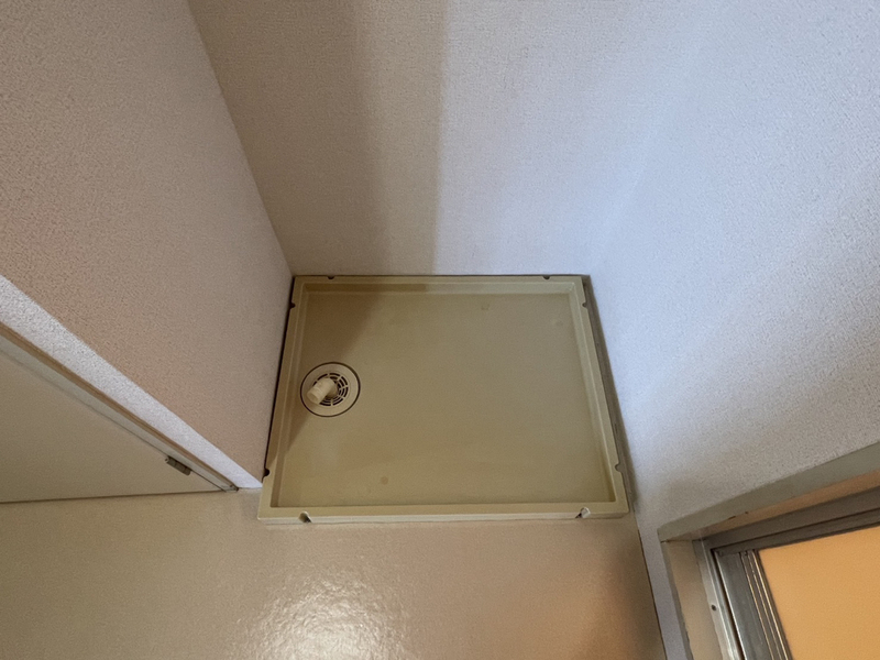 写真19