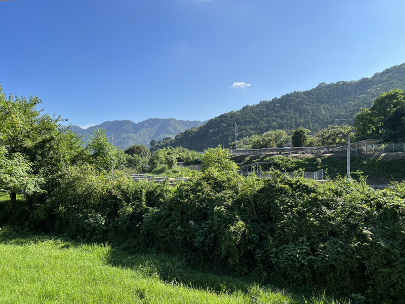 眺望 写真15