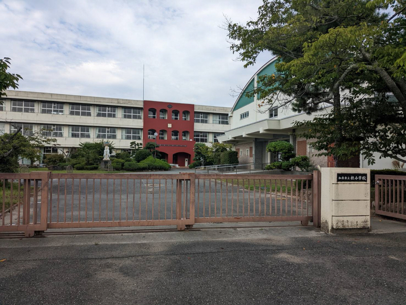 社小学校まで531m (徒歩7分) 写真21