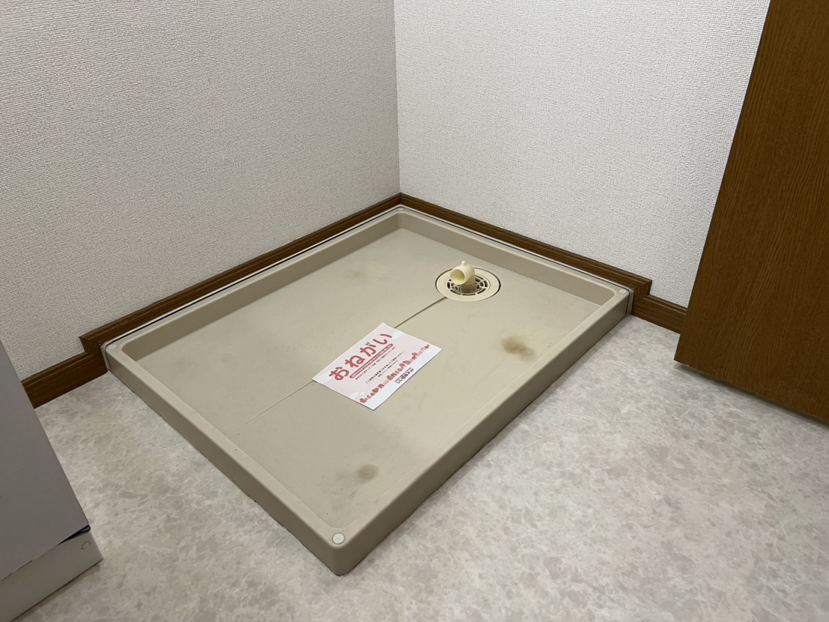 写真29