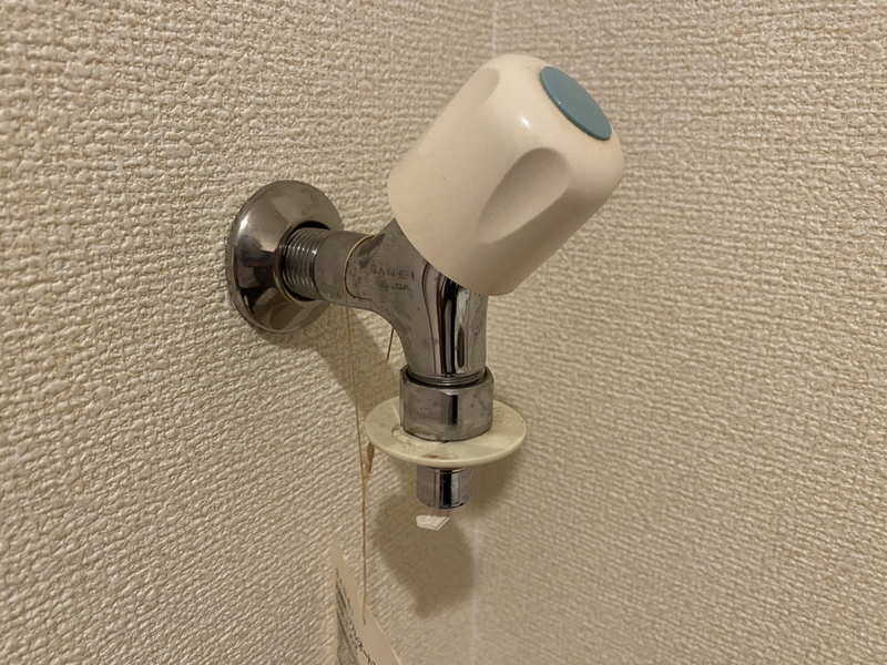 ネットハイツⅡの物件内観写真