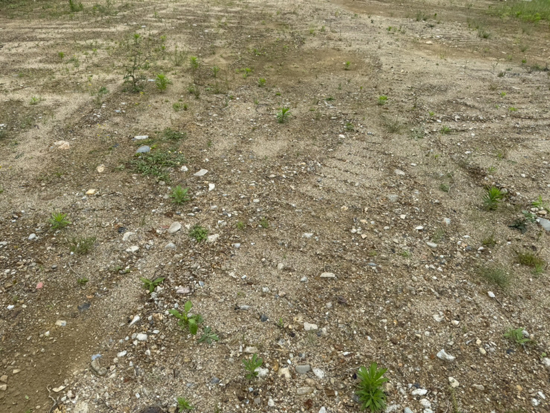 サンビレッヂ東辻井の物件外観写真