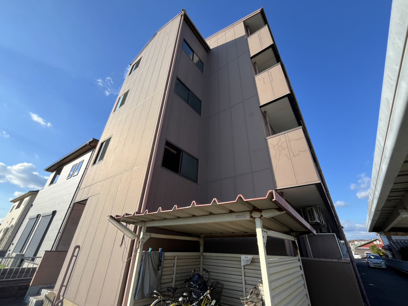 My-R太子