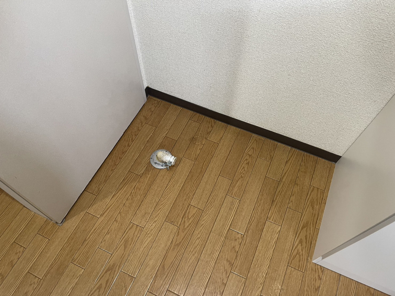 フレグランス城南B棟の物件内観写真