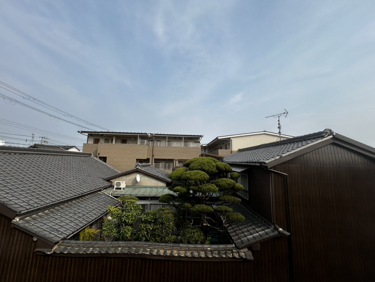 眺望 写真28