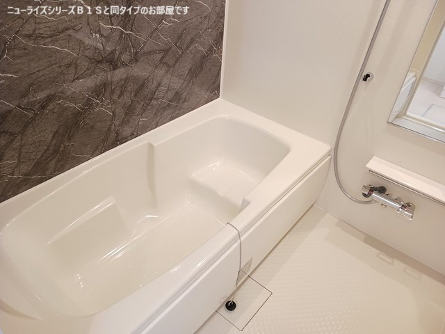 メゾングレーヌ東觜崎駅前Aの物件内観写真