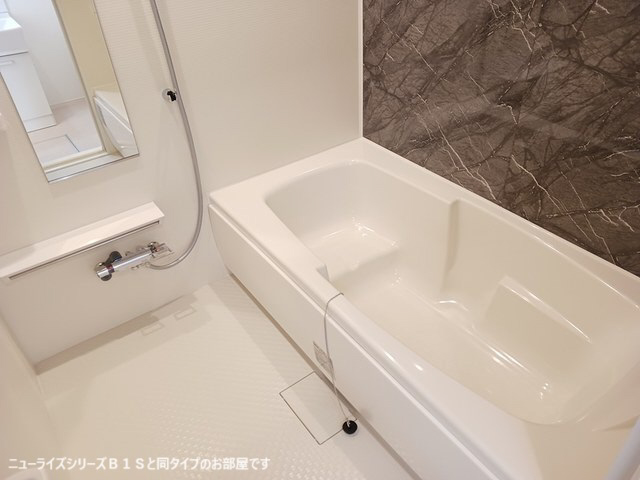 メゾングレーヌ東觜崎駅前Aの物件内観写真