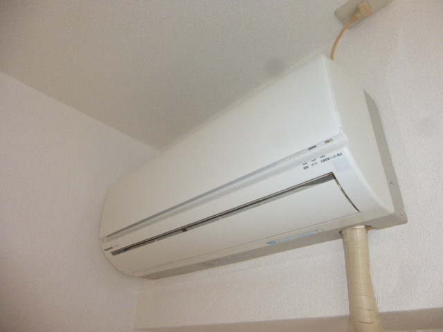 写真19
