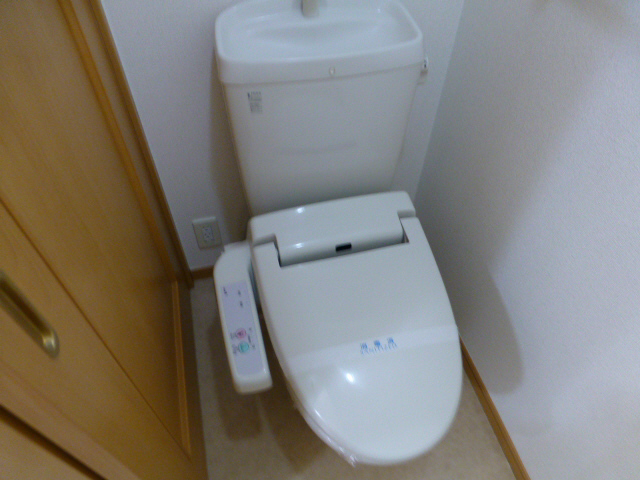 サラスヴァーティーYの物件内観写真