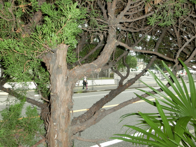 眺望 写真15
