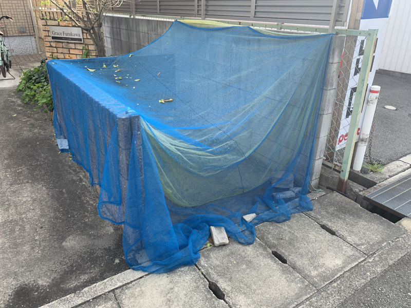 グレース古川 A棟の物件内観写真