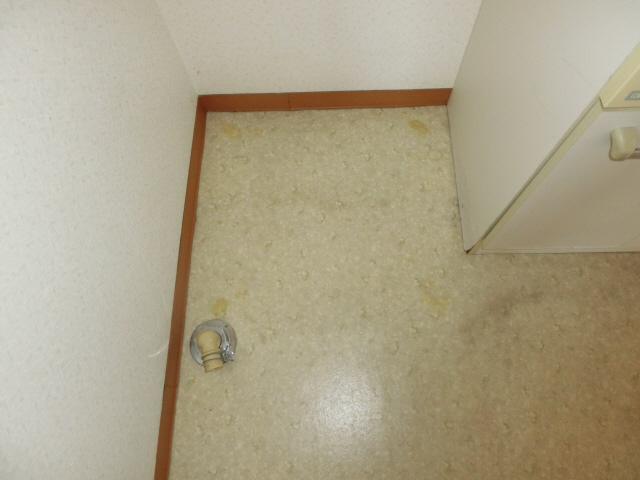 写真29