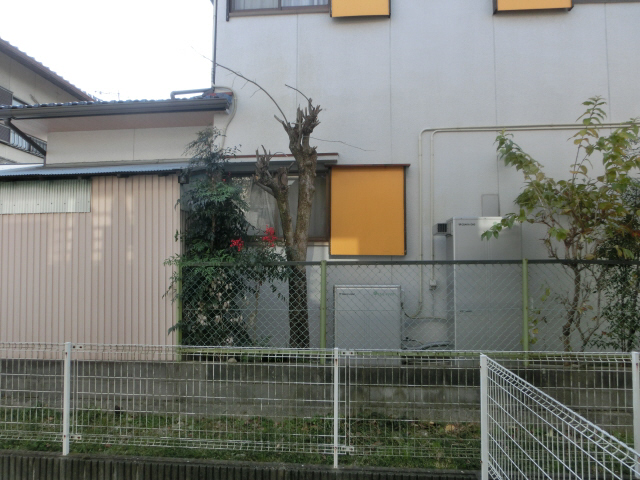 眺望 写真28
