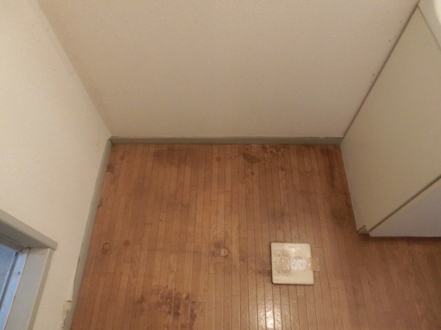 写真28