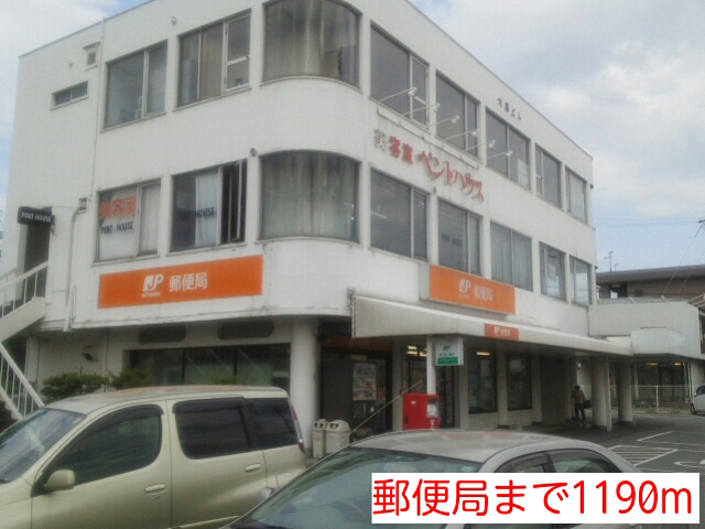 写真12
