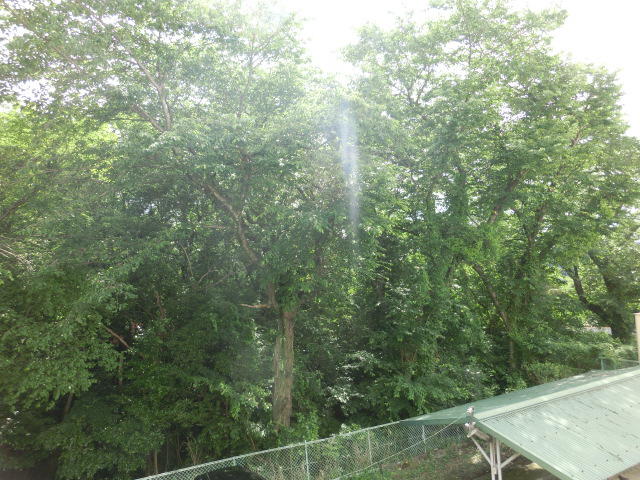 眺望 写真15