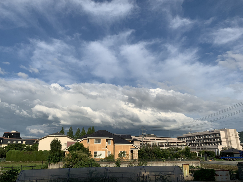 眺望 写真19