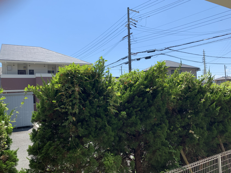 眺望 写真15